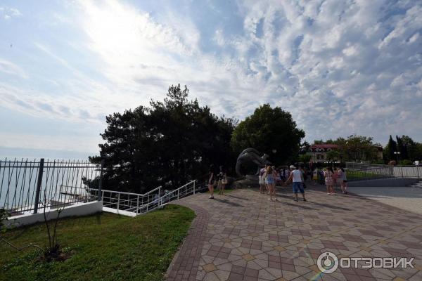 Парк возле концертного зала Фестивальный (Россия, Сочи) фото
