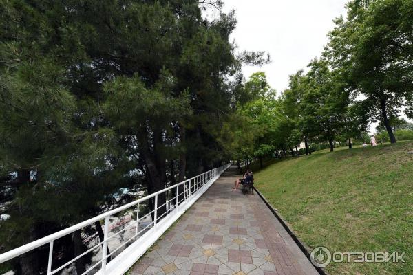 Парк возле концертного зала Фестивальный (Россия, Сочи) фото