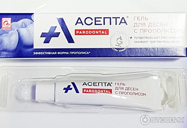 Асепта Гель Для Десен Цена
