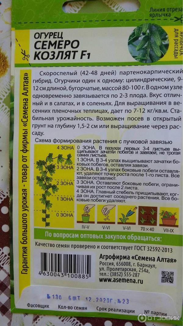 Огурцы Семена Алтая Огурец Семеро Козлят F1 - купить по выгодным ценам в интерне