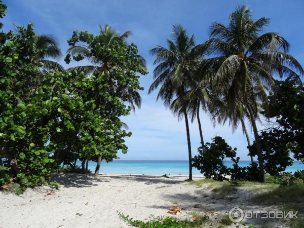 Отзыв о Пляж Cuida la playa (Куба, Варадеро) | Рай для взрослых и детей.