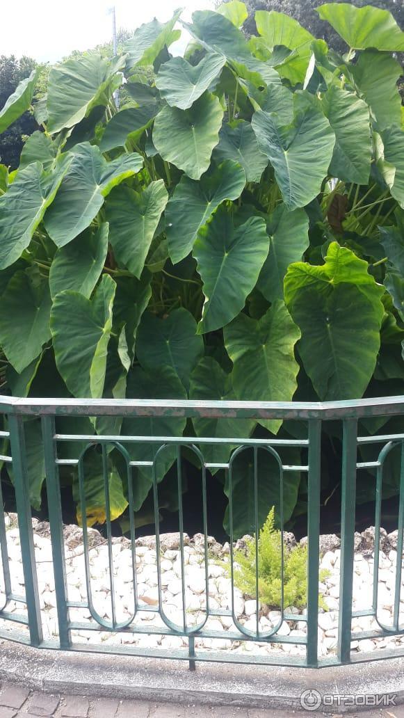 Отдых в Калабрии (Италия) фото