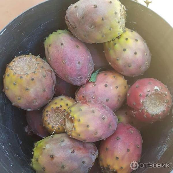 Отдых в Калабрии (Италия) фото