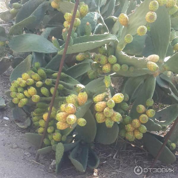 Отдых в Калабрии (Италия) фото