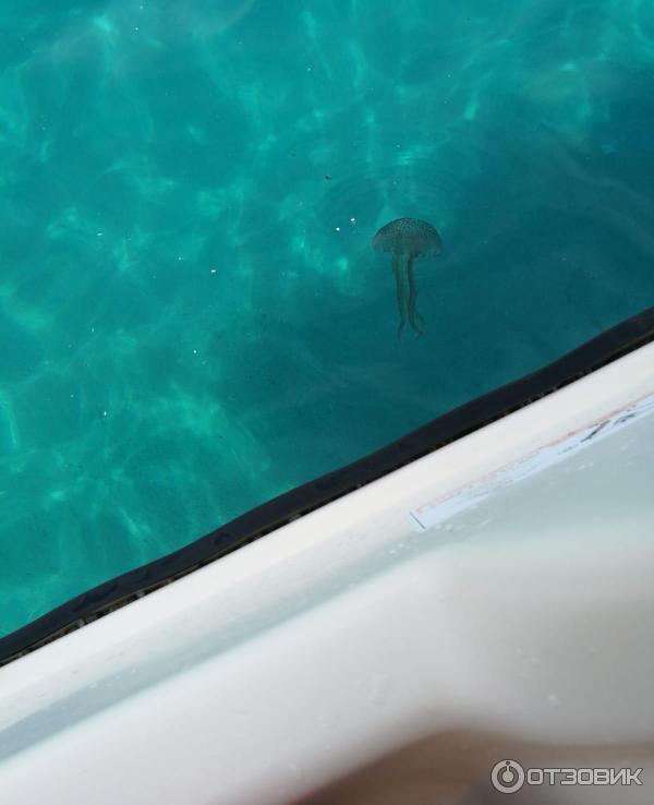 Отдых в Калабрии (Италия) фото