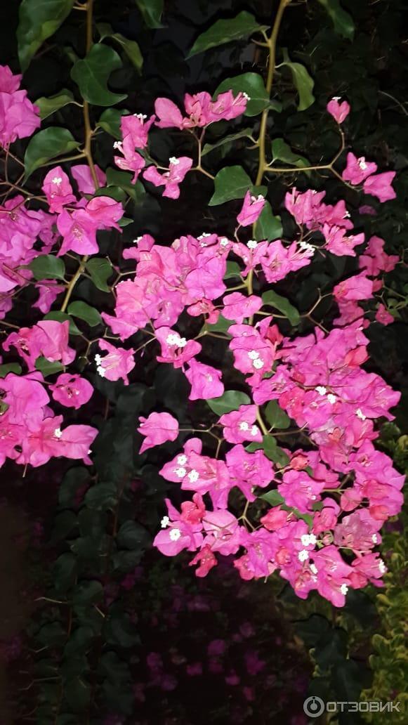 Отдых в Калабрии (Италия) фото