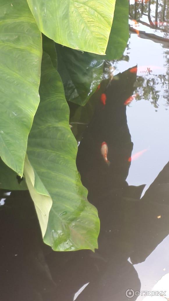 Отдых в Калабрии (Италия) фото