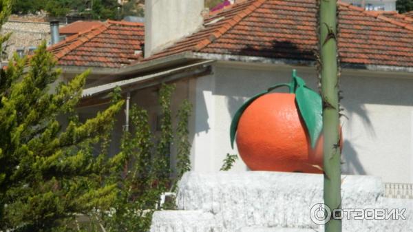 Отдых в поселке Текирова (Турция) фото