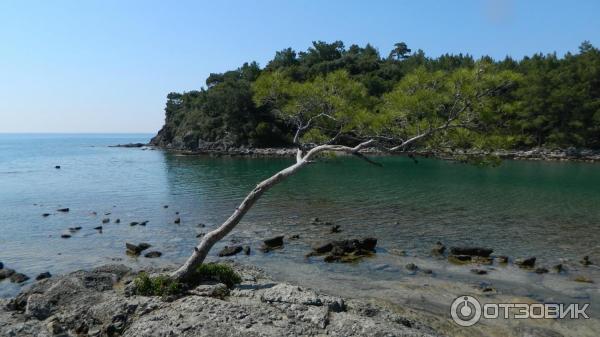 Отдых в поселке Текирова (Турция) фото