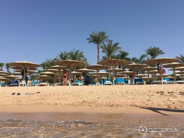 Отель Novotel Palm Sharm El Sheikh 5* (Египет, Шарм-эль-Шейх) фото