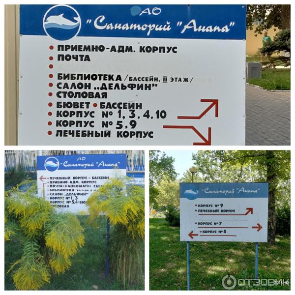 Курсы анапа