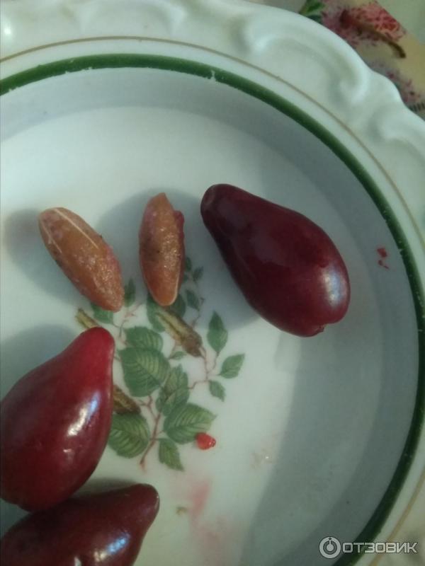 Проглотил косточку кизила. Кизил сушеный. Кизил размножение. Варенье из кизила. Кизил косточки.