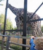 Московский Зоопарк (Россия, Москва) фото