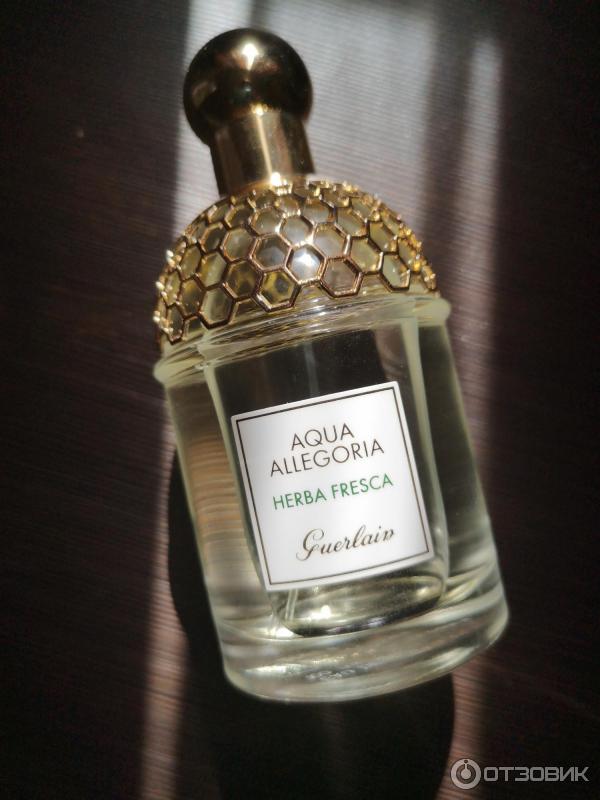 Туалетная вода Guerlain Aqua Allegoria Herba Fresca фото