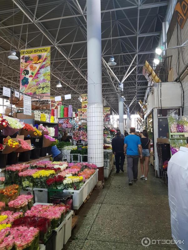 Как работает рижский рынок. Рижская метро цветы рынок. Цветочная база Рижский рынок. Рижский рынок Москва. Цветочная база на Рижской.