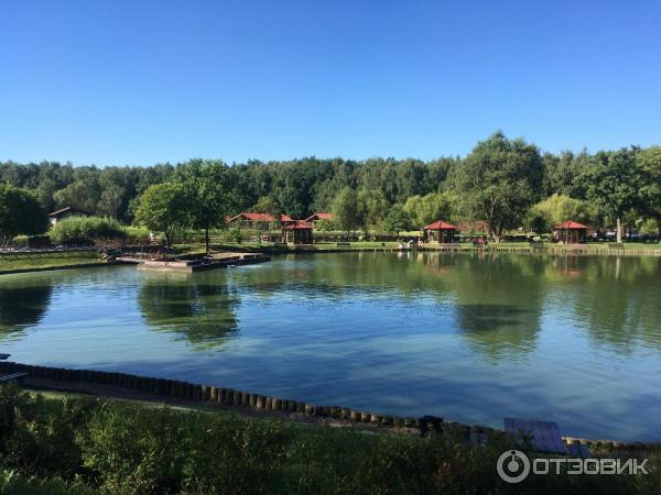 Загородный клуб Завидное (Россия, Московская область) фото