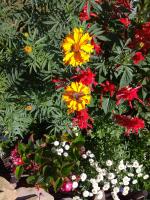 Санаторий "Сибиряк" (Россия, Бердск) фото