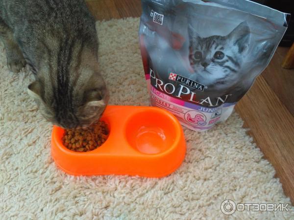 Сухой корм для кошек Purina Pro Plan Delicate фото