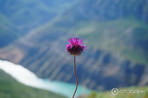 Туроператор Магтур фото