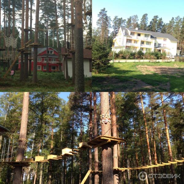 домики, веревочный парк