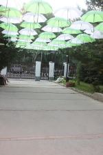 Санаторий "Сибиряк" (Россия, Бердск) фото