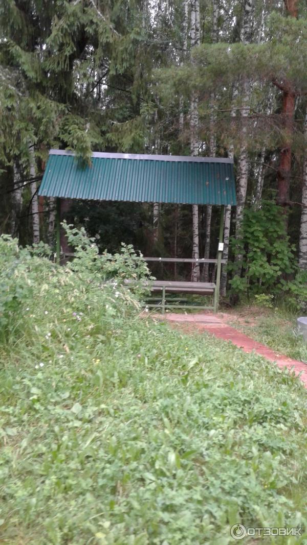 База отдыха ИПФ РАН (Россия, Варнавино) фото