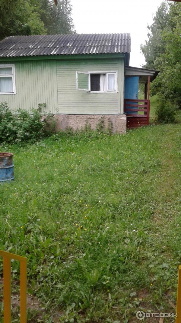 База отдыха ИПФ РАН (Россия, Варнавино) фото