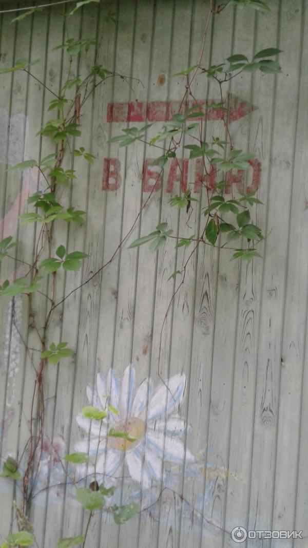 База отдыха ИПФ РАН (Россия, Варнавино) фото