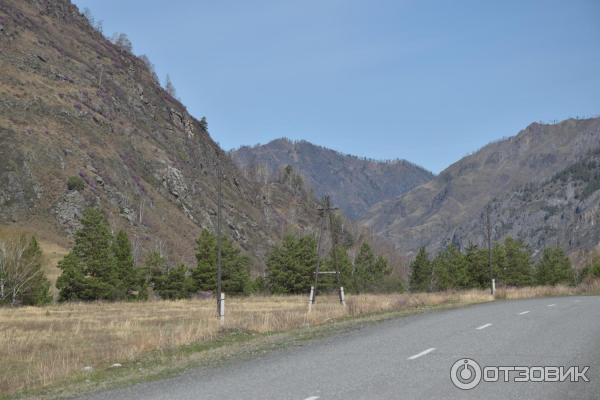 Урочище Че-Чкыш (Россия, Алтай) фото