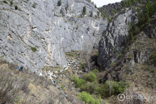 Урочище Че-Чкыш (Россия, Алтай) фото