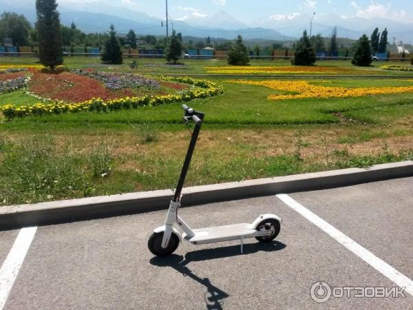 Отзыв о Электросамокат Xiaomi Mijia Electric Scooter M365 | Она ...