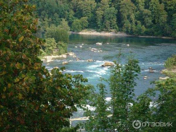 Рейнский водопад (Швейцария) фото