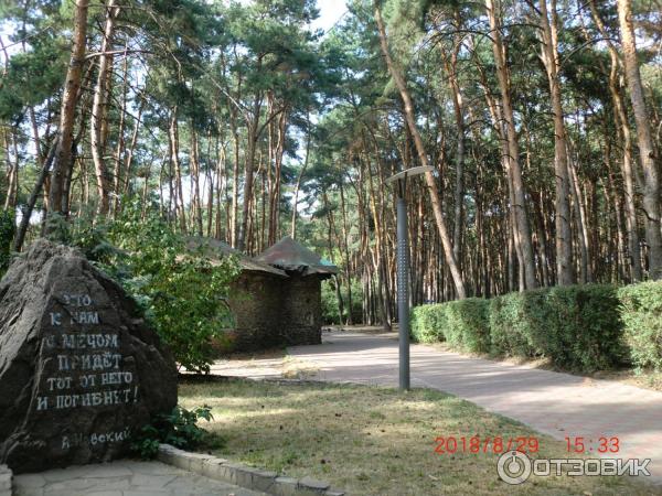 Парк дельфин воронеж аттракционы