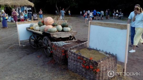 Ежегодная выставка-ярмарка Воронеж город-сад (Россия, Воронеж) фото