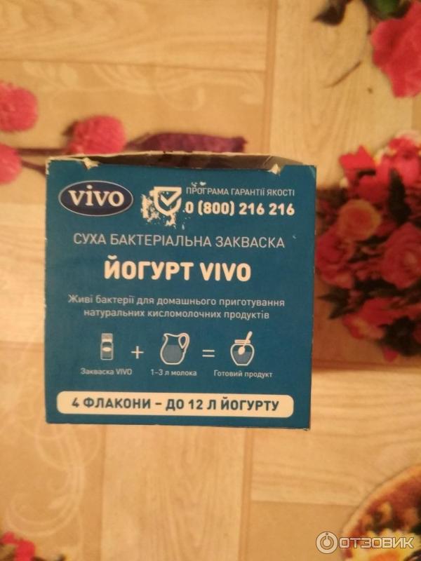 Закваска Vivo Йогурт фото