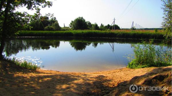 Отдых в Воронежской области (Россия) фото