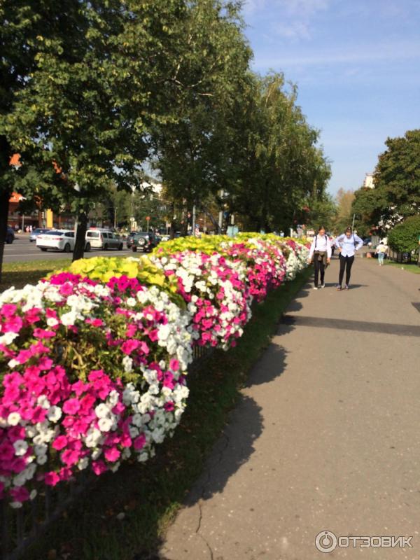 Фестиваль Цветочный джем у метро Новые Черемушки (Россия, Москва) фото