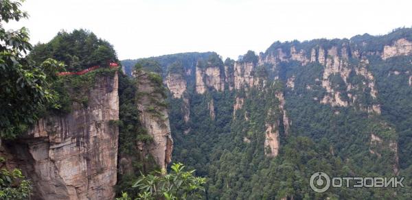 Национальный парк Чжанцзяцзе (Китай, Хунань) фото