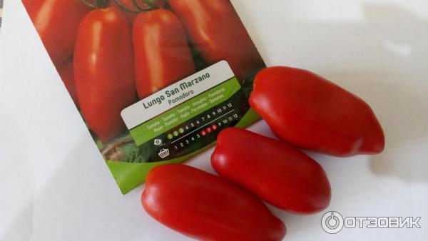 Семена томата Blumen Lungo San Marzano фото