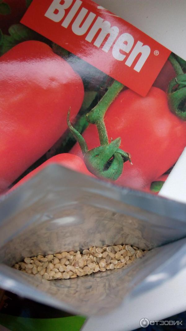 Семена томата Blumen Lungo San Marzano фото