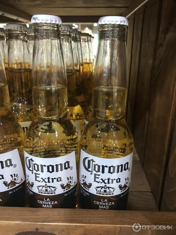 Пиво Corona Extra Купить В Екатеринбурге