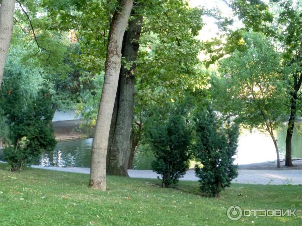 Пруды в Городском Саду