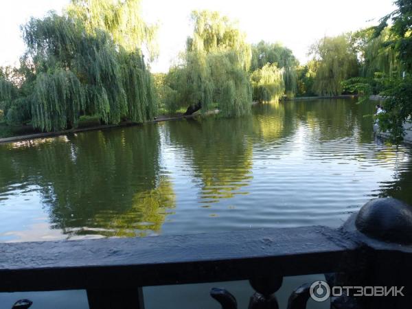 Пруды в Городском Саду Краснодара