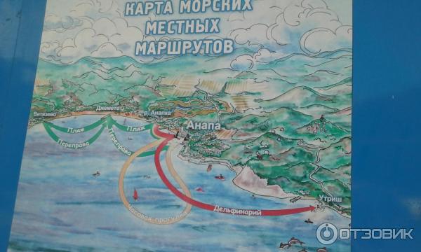 Сочи Анапа Морем Купить