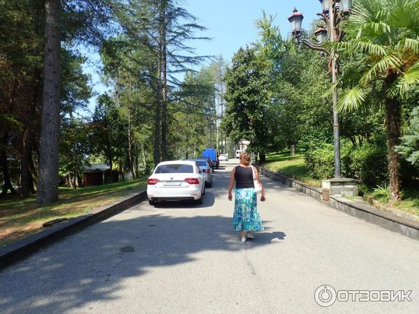 Дача Горбачева В Абхазии Фото