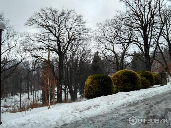 Замок графа Шенборна (Украина, Закарпатская обл.) фото