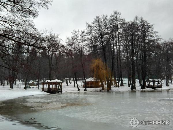 Замок графа Шенборна (Украина, Закарпатская обл.) фото