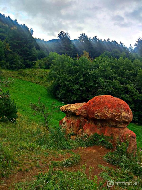 Красные каменные грибы-гиганты (Россия, Кисловодск) фото