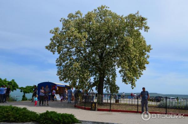 Обелиск Славы на горе Митридат