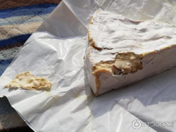 Сыр Brie Alti с черным трюфелем фото